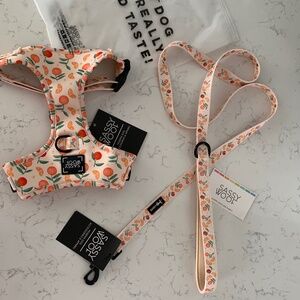 SASSY WOOF Simply the Zest adjustable harness and leash Oranges Medium